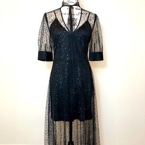 Never Worn Endless Rose sheer midi slip dress